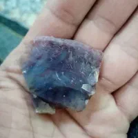 سنگ قیمتی وفسیل|کلکسیون و سرگرمی|کاشمر, |دیوار