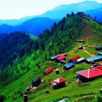 تور شمال ماسال گیلانگردی 26به 28 اذر ماه|تور و چارتر|تهران, عباسآباد|دیوار