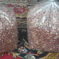 بادام زمینی