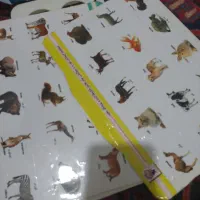 تعدادی اسباب بازی کودک
