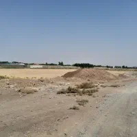 زمین کشاورزی به متراژ۵۰۰۰مترباسندومدارک کامل|فروش زمین و ملک کلنگی|قرچک, داوود آباد|دیوار