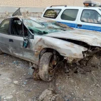 زانتیا تصادفی