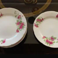 فروش بشقاب ،چاشنی خوری ،لیوان و پارچ
