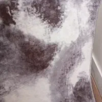 دو عدد گلیم فرش