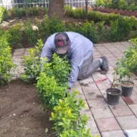 باغبانی وهرسکاری کوددهی بیل زنی مهر فاکتور ضمانت