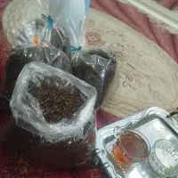 چای چوب|خوردنی و آشامیدنی|شیراز, شهرک امام حسن|دیوار