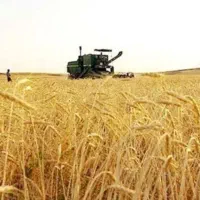 زمین کشاورزی جنب اتوبان شهید رحمتی