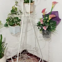 استند گل