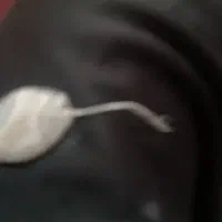 سکه قدیمی|جواهرات|اندیکا, |دیوار