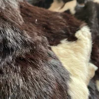 پوست گاو|پادری|تهران, پونک|دیوار