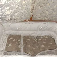 تخت نوزاد گهواره ای|تخت و صندلی بچه|ساری, |دیوار