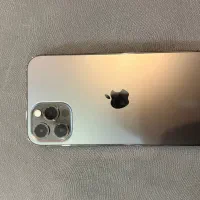 12پرو|موبایل|رشت, کاکتوس|دیوار