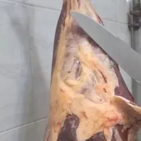 راهنمایی کنید