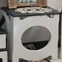 میزجلومبلی و۳عددعسلی