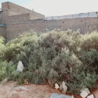 زمین۲۵۰متری|فروش زمین و ملک کلنگی|اهواز, گلدشت|دیوار