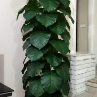 درختچه مصنوعی