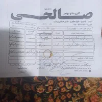 طلا گوشوار انگشتر