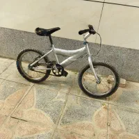 یک عدد دوچرخه