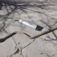 سنتر وانبار اکزوز بلوجی درحد همش یک ماه روماشینه