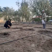 آبیاری قطره ای هوشمند ودستی|خدمات باغبانی و درختکاری|قم, میرزائیه|دیوار