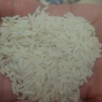 برنج صدری هاشمی گیلان ،امساله کیلو ۴۸۰|خوردنی و آشامیدنی|تهران, جمالزاده|دیوار