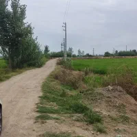 زمین کشاورزی دابودشت مازندران حقابه برق|فروش دفتر صنعتی، کشاورزی، تجاری|دابودشت, |دیوار