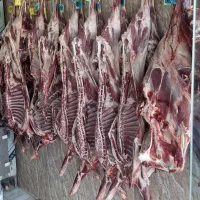 گوشت گوسفند