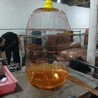 استخدام کارگر قفس سازی وسط کار