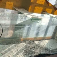 آکواریوم بزرگ سالم با مقداری لوازم|ماهی|تربتحیدریه, شهرک ولیعصر|دیوار