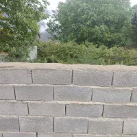 زمین|فروش زمین و ملک کلنگی|آلاشت, |دیوار