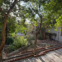 خونه باغ تجاری مسکونی|فروش خانه و ویلا|آباده, |دیوار