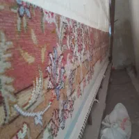 فرش اولیا نیمه کاره دوتا|فرش|مراغه, |دیوار