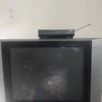 تلویزیون|تلویزیون و پروژکتور|شیراز, پودنک|دیوار