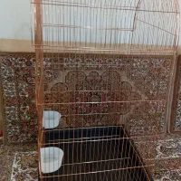 قفس سلطنتی بزرگ 90سانتی