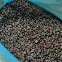 انواع کشمش بیدانه|خوردنی و آشامیدنی|شال, |دیوار