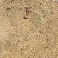 کود گوسفندی|گل و گیاه طبیعی|جیرفت, |دیوار