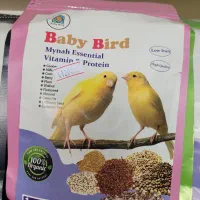 دان عروس هلندی،طوطی برزیلی،مرغ مینا،قناری،مرغ عشق|لوازم جانبی حیوانات|ارومیه, |دیوار