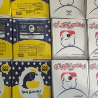 بنکداری تخم مرغ عمده و تک