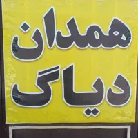 همدان دیاگ|خدمات موتور و ماشین|همدان, |دیوار