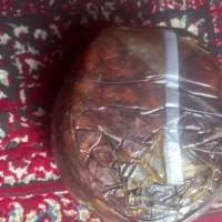 خرماشاهنی رودخانه