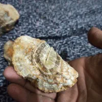 سنگ امیتیس|کلکسیون اشیاء عتیقه|بناب, |دیوار