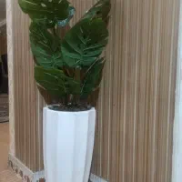 درختچه برگ انجیری نو وارداتی|گل مصنوعی|یاسوج, |دیوار