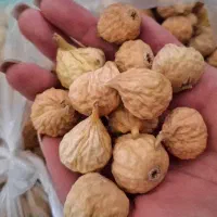 انجیر استهبان|خوردنی و آشامیدنی|شیراز, داریون|دیوار