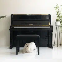 Planot UW120 الکتریک|پیانو، کیبورد، آکاردئون|مشهد, دانشجو|دیوار