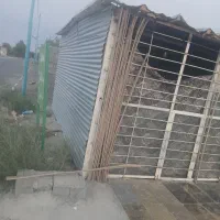 کانکس