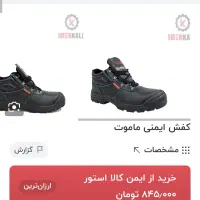 کفش ایمنی|کیف، کفش، کمربند|اندیمشک, |دیوار