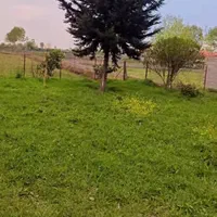 فروش ویلاباغ ۹۰۰متری سندتک برگ قیمت مناسب|فروش زمین و ملک کلنگی|شاندرمن, |دیوار