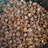 آلوچه خورشتی