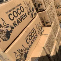 کارگر ساده در کارگاه تولید زغال