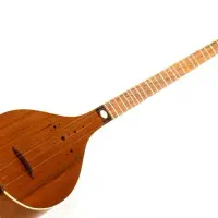 جذب مدرس تنبور-دف-تار-سه تار